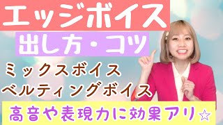 高音の為のエッジボイスの出し方⭐︎ミックスボイス・ベルティングボイスに効果抜群【ボーカルフライ】