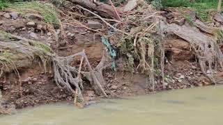 Flood damage, Byarong Creek, Figtree April 2024