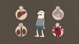 What causes insomnia Dan Kwartler