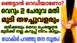 ഡൈ ഒരിക്കലും ചെയ്യേണ്ട വെറും 2 ചേരുവ മതി മുടി കട്ടക്കറുപ്പാവും|എത്ര വളരാത്ത മുടിയും കാട്പോലെ വളരും