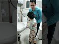 لما تصحى ابنك أول يوم دراسي بعد الاجازه ومايصحاش الا بالحقنه 😱💉💉💉💉