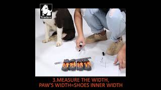 How To Measure TRUELOVE DOG SHOES With TPR Sole Boots