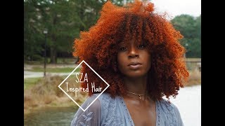 How To Copperry Orange On Curly Hair Ft Sunber Hair Lani Feli
