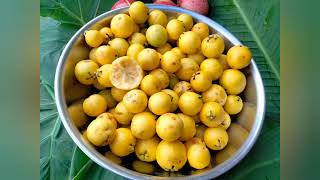 😋😋 lemon guava propagation from seed to fruit