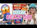 Walmart and Food Lion Grocery Haul + Grocery Shop With Me!