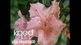 KQED Station ID (1972)