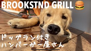 守谷/ドッグラン付き/大型犬店内OK /BROOKSTND GRILL ブルックスタンドグリル/カフェ☕️