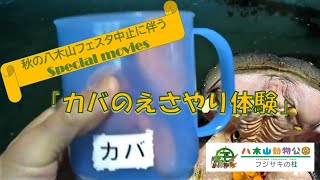 バーチャル「カバのえさやり体験」（秋の八木山フェスタ中止に伴うSpecial movies １）