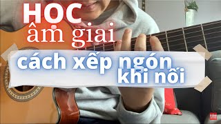 Âm Giai Guitar Thực Hành | Xếp Ngón Để Nối Âm Giai Hết Cần Đàn