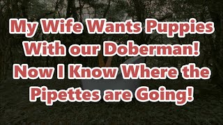 My Wife Wants Puppies With our Doberman! Now I Know Where the Pipettes are Going!