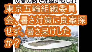 東京五輪組織委員会、暑さ対策に良案探せず、暑さ呆けしたか？