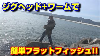 堤防からフラットフィッシュを狙う!!!ワームとジグヘッドで簡単実釣!!!