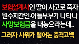 실화사연 - 보험설계사인 딸이 사고로 죽자 원수지간인 아들부부가 나타나 사망보험금을 내놓으라는데..그러자 사위가 털어논 충격고백ㅣ라디오드라마ㅣ사이다사연ㅣ