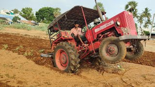 Mahindra 575 di tractor goes to 5point cultivater pulling full performance depth in framland