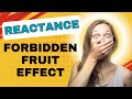 Understanding Reactance: The Psychology Behind the Forbidden Fruit Effect