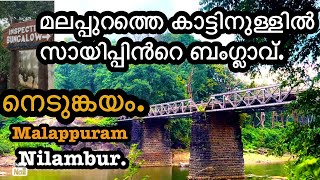 നെടുങ്കയം! കാട്ടിലെ സായിപ്പിന്റെ കൊട്ടാരം🇬🇧 Nedugayam rain forest #nedugayam #nilambur #kl10 #kl71