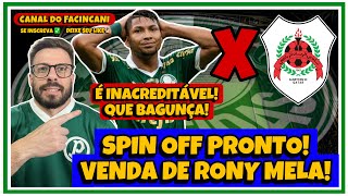 AO VIVO: QUE CIRCO! 🔥 BUROCRACIA DO CATAR CANCELA VENDA DE RONY, DO PALMEIRAS, AO AL RAYYAN! 🤬