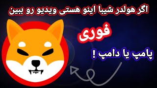 فوری : اگر هولدر ارز دیجیتال شیبا اینو هستی این ویدیو را تا آخر ببین !! پامپ یا دامپ !