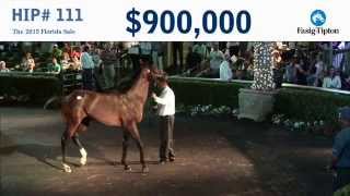 2015 Fasig-Tipton Florida 2YO Sale Hip 111