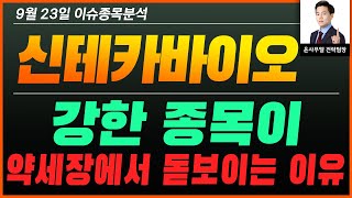 신테카바이오(226330)- 강한 종목이 약세장에서 돋보이는 이유