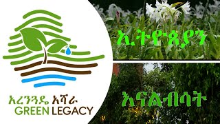 ጠቅላይ ሚኒስትር ዐቢይ አሕመድ በሦስተኛው ዙር የአረንጓዴ ዐሻራ ማስጀመርያ ወቅት ያስተላለፉት መልዕክት።