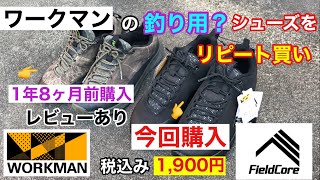 ワークマンの釣り用？格安シューズをリピート買い Field Core workman 知多半島 衣浦湾