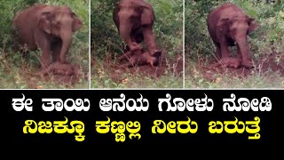 ಈ ಆನೆಯ ಗೋಳಾಟ ನೋಡಿದರೆ ಇಂಥವರ ಕಣ್ಣಲ್ಲೂ ನೀರು ಬರುತ್ತೆ | Oneindia Kannada