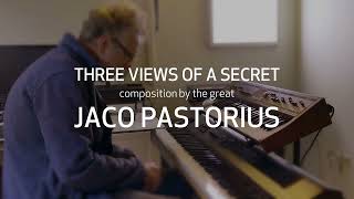 Three Views of a Secret Composition by the great Jaco Pastorius | Johannes Schenk