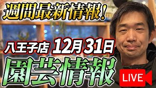 【最新情報】12月31日 グリーンギャラリーガーデンズ入荷情報を一挙公開！【特別版】