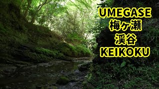 いつかの梅ヶ瀬渓谷 Supported By 養老渓谷 / UMEGASE KEIKOKU / YŌRŌ KEIKOKU