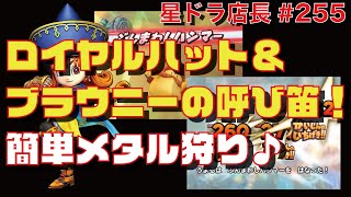 【星ドラ実況#255】店長が、ロイアルハット＋ブラウニーの呼び笛で『メタスラ狩り最前線』♪