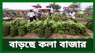 আজকের কলা বাজার কত || How much is today's banana market in Bangladesh? আজকের মুরগি, সুপারি, বাজার কত