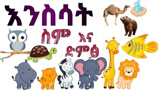 More than 50 Animals, their Names and Sounds እንስሳት ስማቸው በአማርኛ እና በእንግሊዘኛ እና ድምጻቸው - ለልጆች