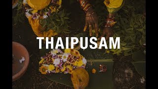 Thaipusam 2019 | Kota Kinabalu, Sabah | Cinematic Video | A7iii \u0026 Sigma Art 50mm F/1.4