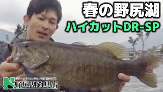 春の野尻湖　ハイカットDR－SPでスモールマウスバス釣り　2016.05.25　野尻湖釣具店