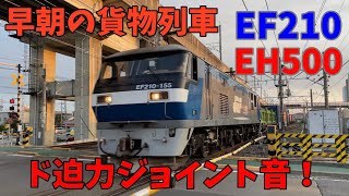 【宇都宮線 早朝の貨物列車】 ジョイント音が豪快に響く！ EF210桃太郎  EH500金太郎　銀タキも登場！　3時〜7時 16本　@横倉踏切　＜生活を支えてくれてありがとう！＞　2024/9/14