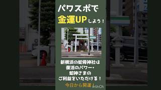 【金運パワスポ】蛇骨神社は復活のパワー＆蛇神さまのご利益をいただける！ #運気アップ #蛇骨神社 #金運 #開運 #おすすめ