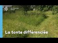 La tonte différenciée : une bonne pratique écologique et économique !