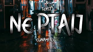 CUNAMI FLO - NE PITAJ (TEKST)