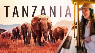 Better than the Serengeti?! Insane Tanzania Safari (Tarangire National Park)