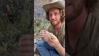 How to carve a spoon using FIRE #bushcraft #survival #howto #primitive #outdoors #camping