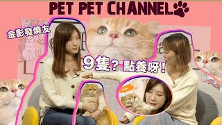 PetPetChannel@「英國短毛貓的專屬貓奴」