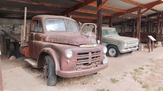 Antelope Island In Utah Is Infested With Millions Of Bugs - Exploring Farm Relics \u0026 Bison Watching