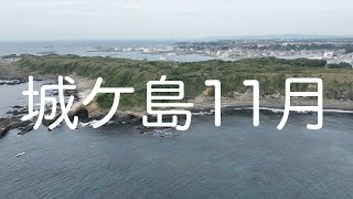 １１月の城ケ島情景