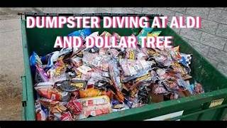 Dumpster Diving At Aldi And Dollar Tree