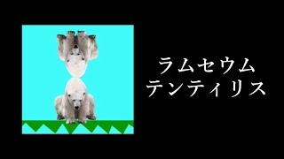 ラムセウム・テンティリスを発動させてみた【どうぶつタワーバトル】