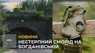 Львів’яни скаржаться на нестерпний сморід з каналізації на вулиці Богданівській