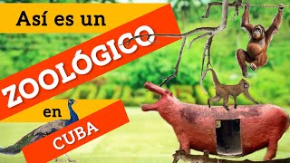 ✅Así son los ZOOLÓGICOS en CUBA😨 || El Zoológico de Baracoa ¿Ya no tiene animales?⁉️☹️😳