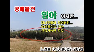 노다지경매 010-9622-7093 경매,공매,장흥임야,장흥부동산,장흥시골땅,전남임야경매,전남임야공매,전남시골땅경매,장흥관산읍토지,관산읍시골임야,관산읍땅,귀농,귀촌,시골토지경매