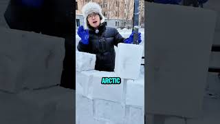 The Art of Igloo Building #interesting #unique